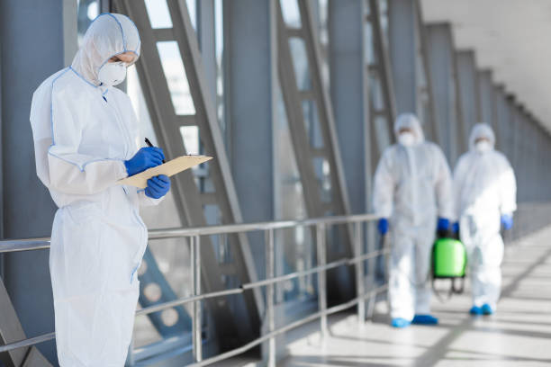 Best Real Estate Mold Inspection  in Onsted, MI