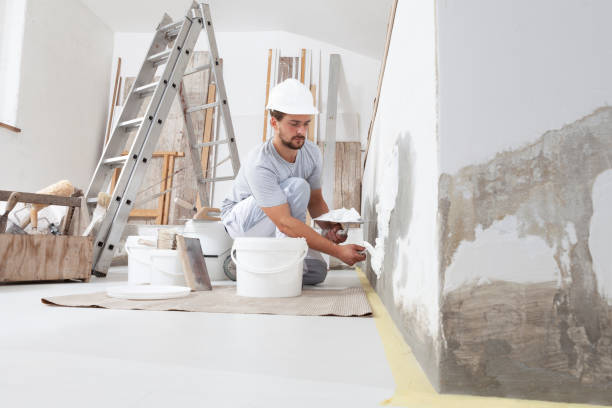 Best Asbestos and Lead Testing During Mold Inspection  in Onsted, MI