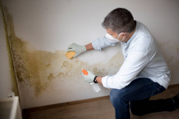 Best Indoor Air Quality Assessment  in Onsted, MI