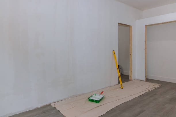 Best Biohazard Mold Removal  in Onsted, MI